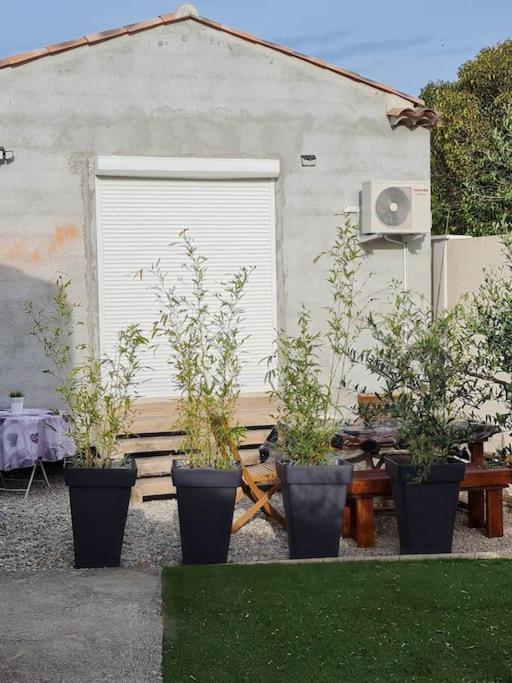 Appartement 53 M² - Pignans Au Coeur Du Var Dış mekan fotoğraf